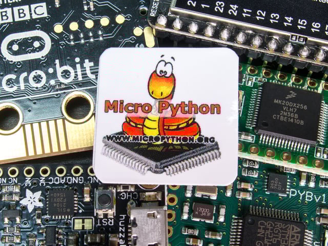 Python at a Crossroads: Adapting to the New Era of Static Typing and AI