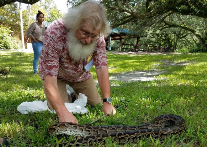 The Ultimate Guide to High-Performance Python News Development with FastAPI and Async Streaming