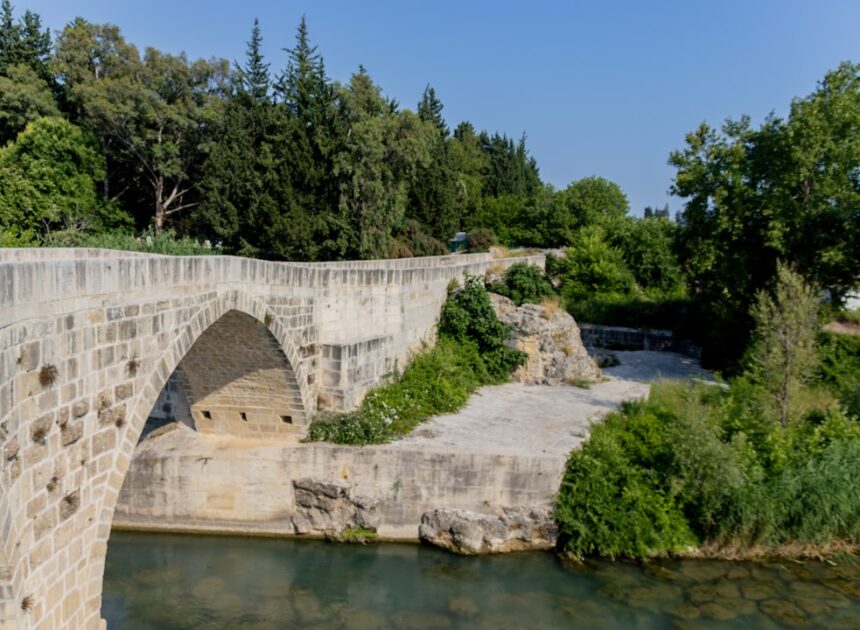 Bridging the Gap: A Comprehensive Guide to PyScript for Web and IoT Integration