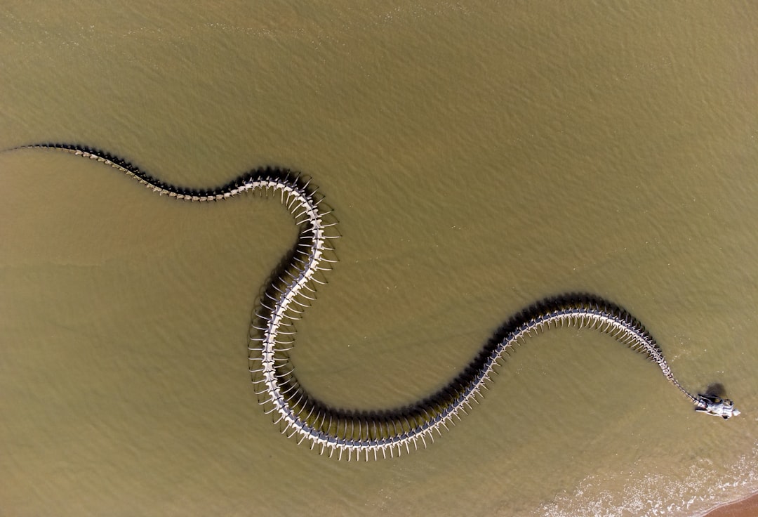 The State of Python: How AI and TypeScript are Reshaping the Developer Landscape