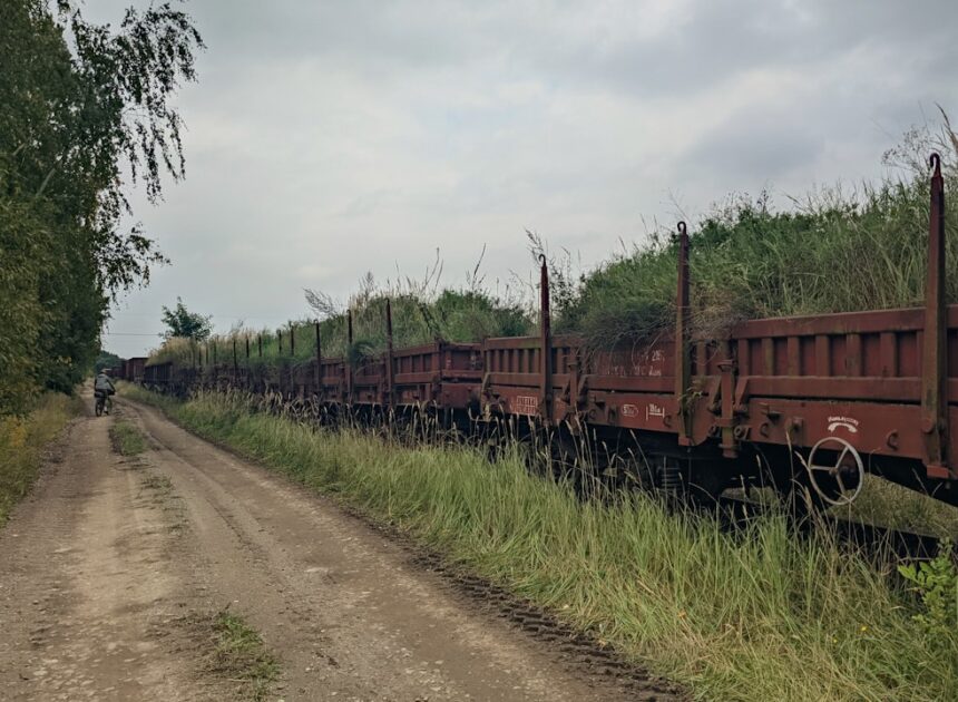 PyTorch Monarch: Revolutionizing Distributed Training with a Single-Controller Architecture