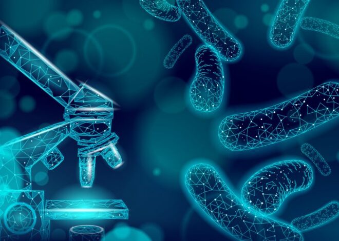 Unlocking Bacterial Metabolism: Deep Learning and Knowledge Graphs with the IBIS Framework