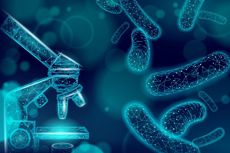 Unlocking Bacterial Metabolism: Deep Learning and Knowledge Graphs with the IBIS Framework