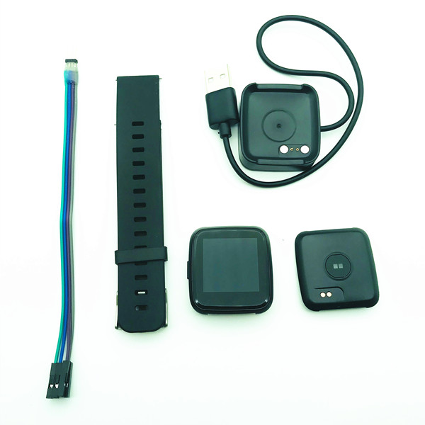 PineTime smartwatch - PineTime SmartWatch Dev Kit - PINE STORE